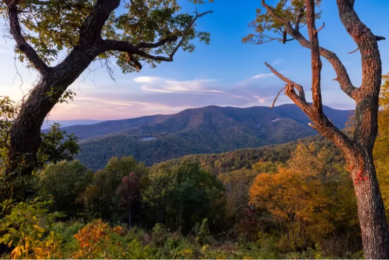 scenic-view-of-the-shenandoah-national-park-under-2023-11-27-05-12-20-utc (1)