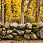 stone-wall-new-england-fall