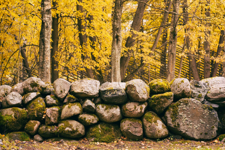 stone-wall-new-england-fall