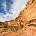 hiker walking through the narrow canyon walls of Grand Wash Trail in Capitol Reef National Park