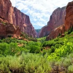 Looking across red rock box canyon in Zion's Kolob Canyons with green shrubs in the foreground