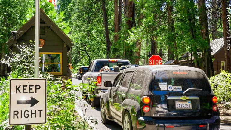 cars_at_national_park_Adobe Stock