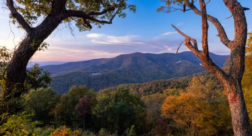 scenic-view-of-the-shenandoah-national-park-under-2023-11-27-05-12-20-utc (1)