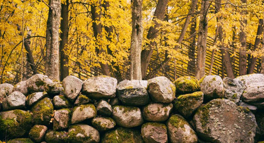 stone-wall-new-england-fall